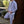 Radar Windbreaker - Joggingsbroek - Radar Gear – Premium sportkleding & accessoires voor topprestaties